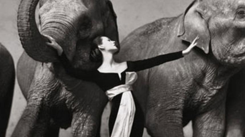 Tek fotoğrafa 1.15 milyon dolar!