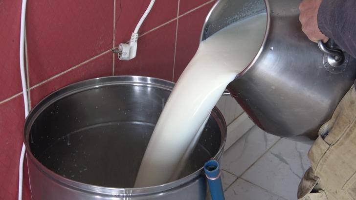 İneklere sabah 7 akşam 6 klasik müzik dinletti! Sonuçlarına kendi bile inanamadı: 'Verimimiz 20 litreyken şu anda 25 litreye çıktı' G3