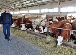 İneklere sabah 7 akşam 6 klasik müzik dinletti! Sonuçlarına kendi bile inanamadı: 'Verimimiz 20 litreyken şu anda 25 litreye çıktı'