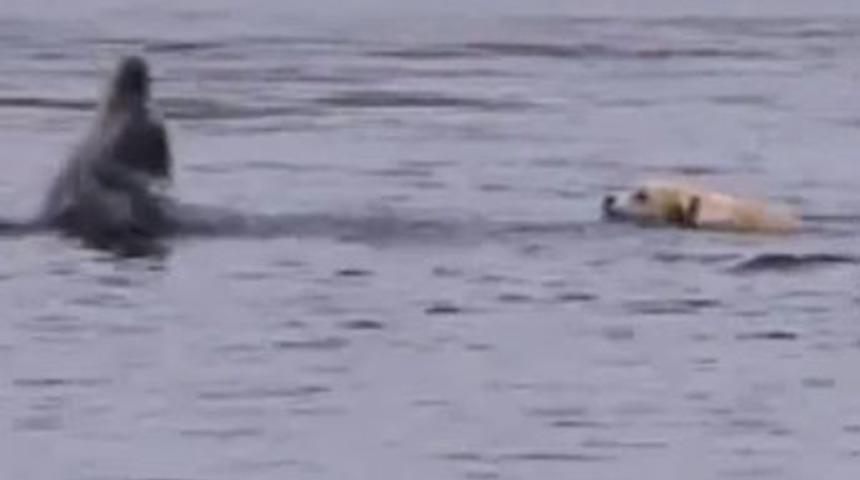 D&uuml;nyanın konuştuğu dostluk