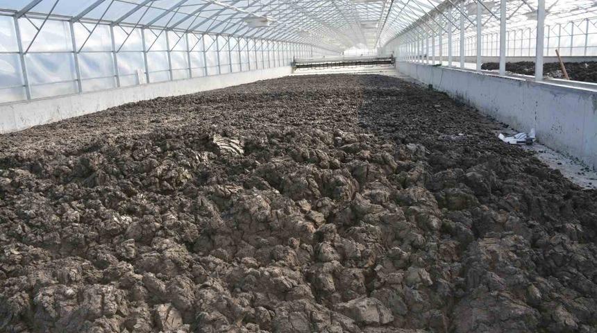 Manisa’da 35 bin ton arıtma çamuru bertaraf edildi