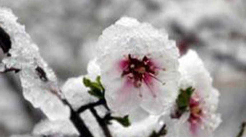 İlk cemre yarın havaya düşecek