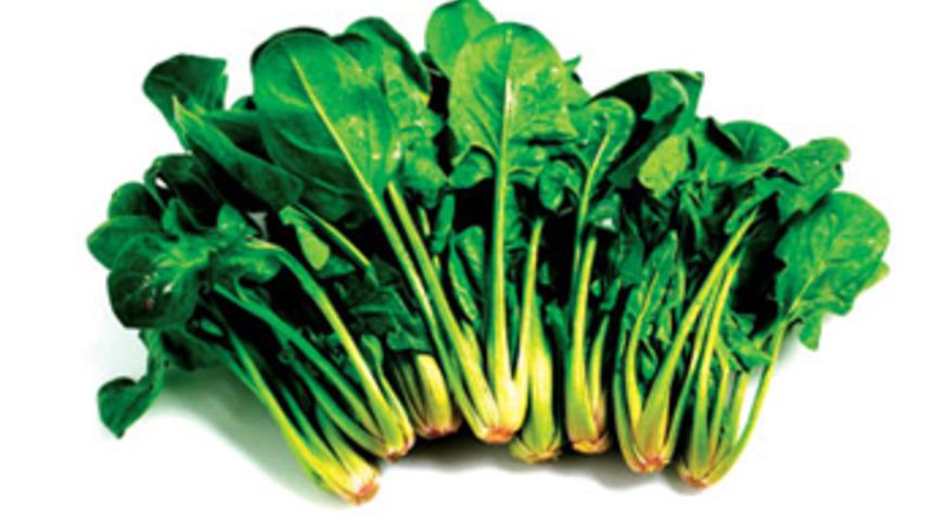 Kilosu 50 bin Euro'ya ıspanak