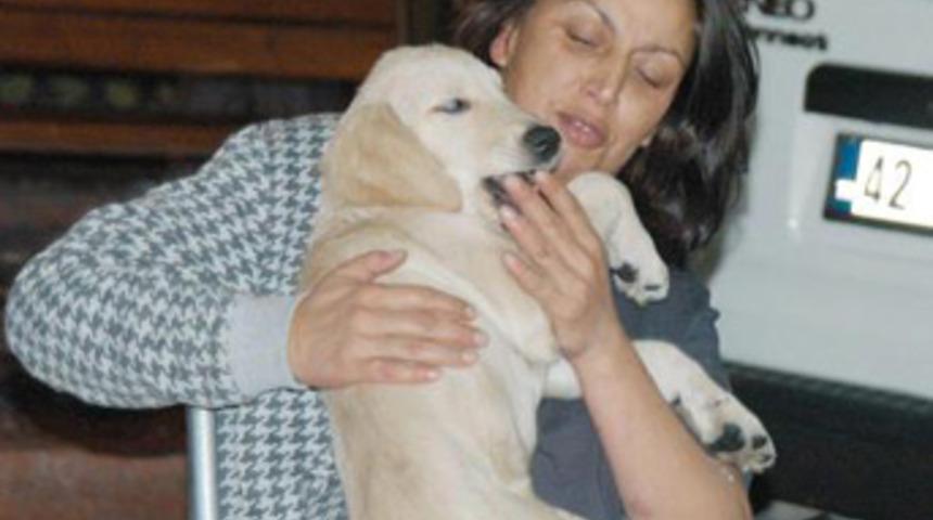 K&ouml;peğini yatağa aldı, başına gelmeyen kalmadı