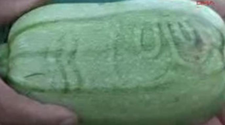 Kabağın &uuml;zerinde "Allah" yazıyor