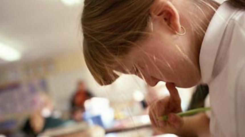 Zorunlu eğitim 13 yıla &ccedil;ıkıyor