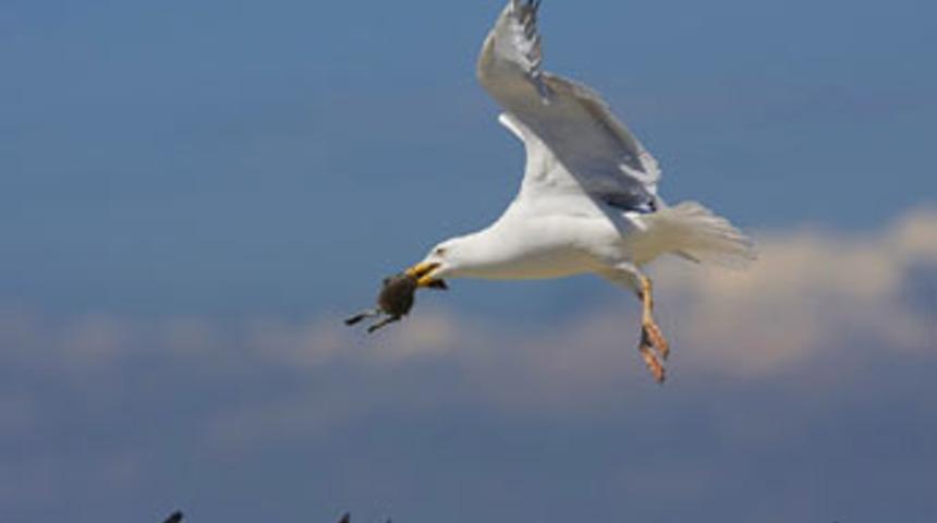 Yılın en iyi kareleri