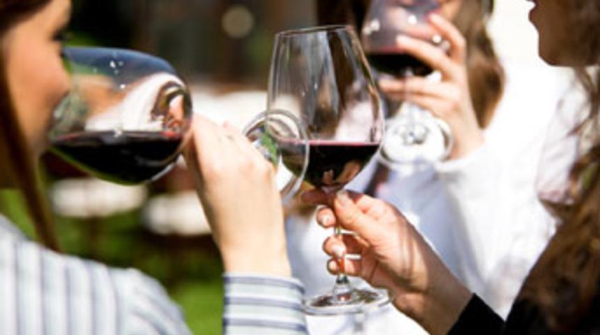 İçki yasağı Danıştay’da