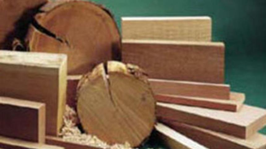 Mucize bitki k&ouml;yl&uuml;leri zengin etti!