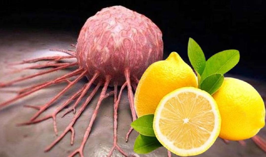 Limonu bu şekilde t&uuml;ketmek 7 kat daha yararlı! 12 adet kanser tipine fayda sağlıyor