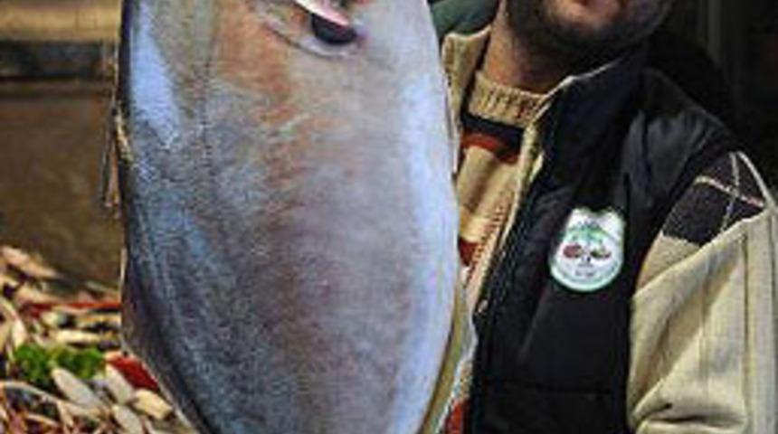 Marmara Denizi'nden &ccedil;ıkan canavar