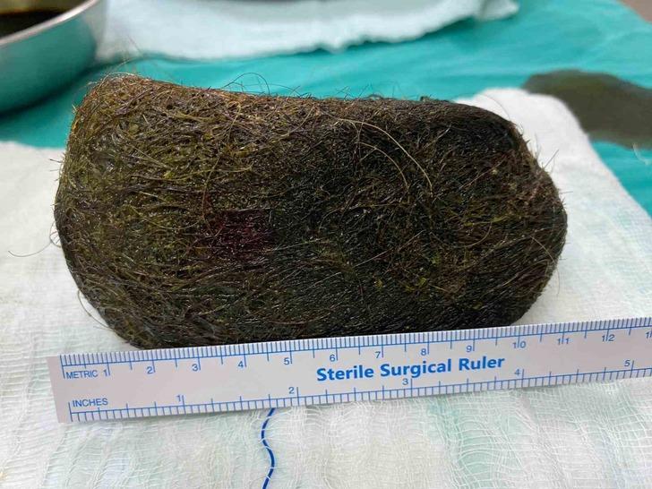 "ÇOK NADİR GÖRÜLÜR"