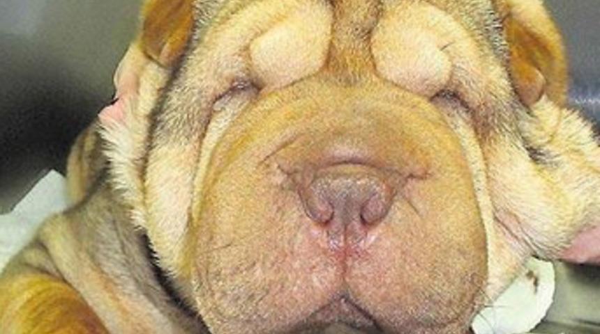 G&ouml;zleri estetik ameliyatla a&ccedil;ıldı