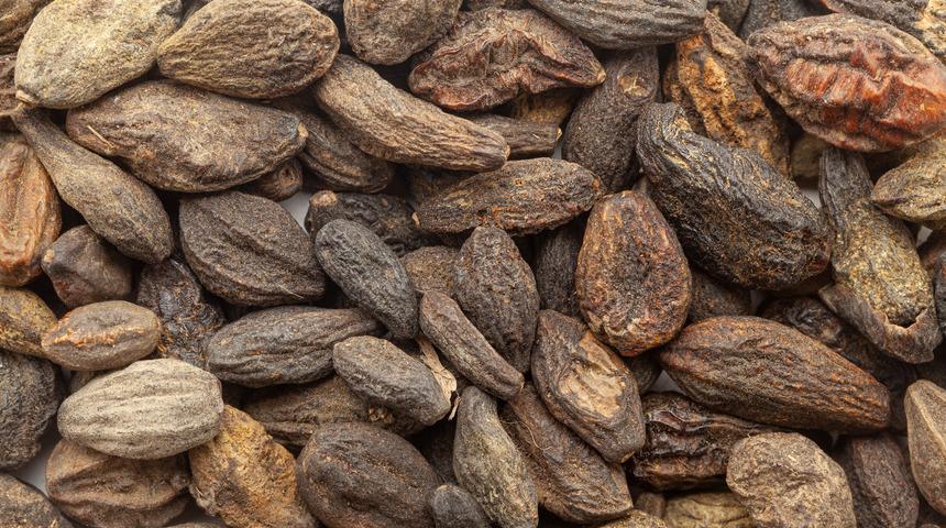 Kara Halile faydaları nelerdir? Kara Halile neye iyi gelir?