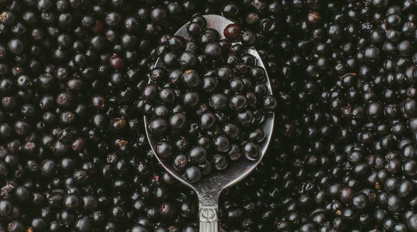 Kara mürver faydaları nelerdir? Kara mürver neye iyi gelir?