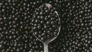 Kara mürver faydaları nelerdir? Kara mürver neye iyi gelir?