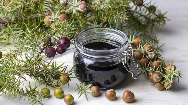 Andız pekmezi faydaları nelerdir? Andız pekmezi neye iyi gelir?