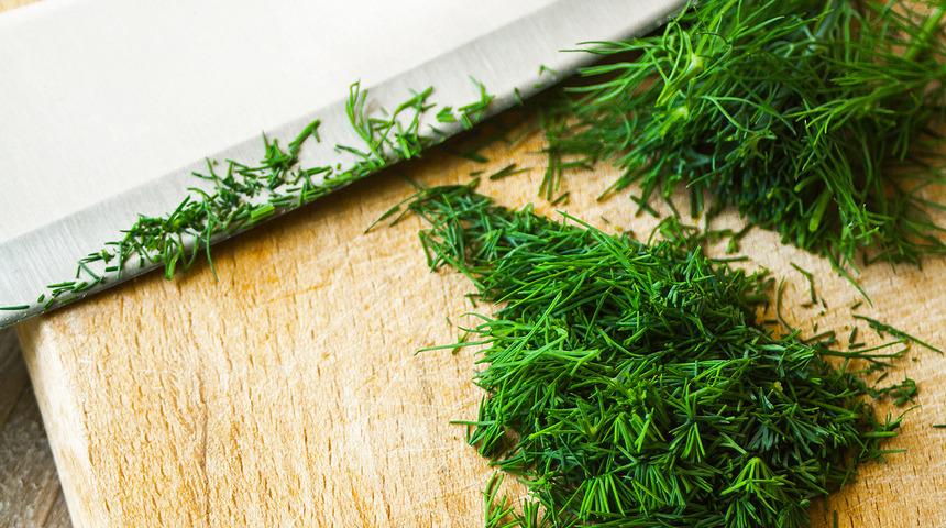 Dereotunun faydaları nelerdir? Dereotu neye iyi gelir?