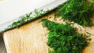 Dereotunun faydaları nelerdir? Dereotu neye iyi gelir?