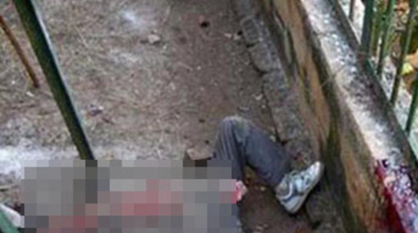 Aralarına d&uuml;şt&uuml;!