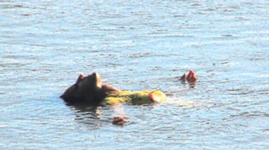 Ölmek için nehre atladı