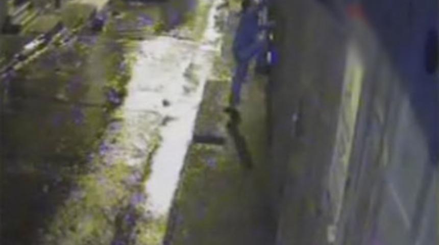 B&ouml;yle pişkinlik g&ouml;r&uuml;lmedi!