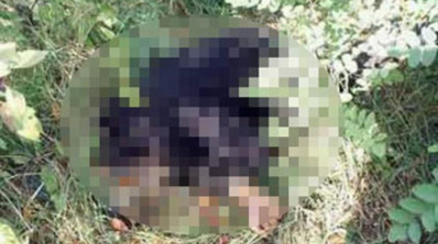 Yalova'da par&ccedil;alanmış ceset bulundu