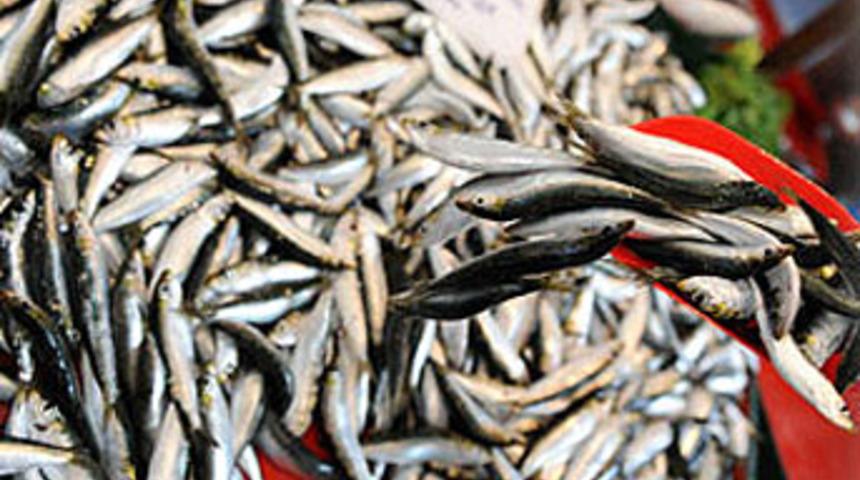 Bu uyarı &ccedil;ok ciddi