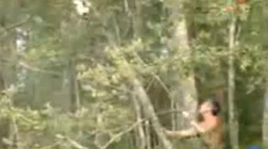 S&ouml;zde kediyi kurtaracaktı!