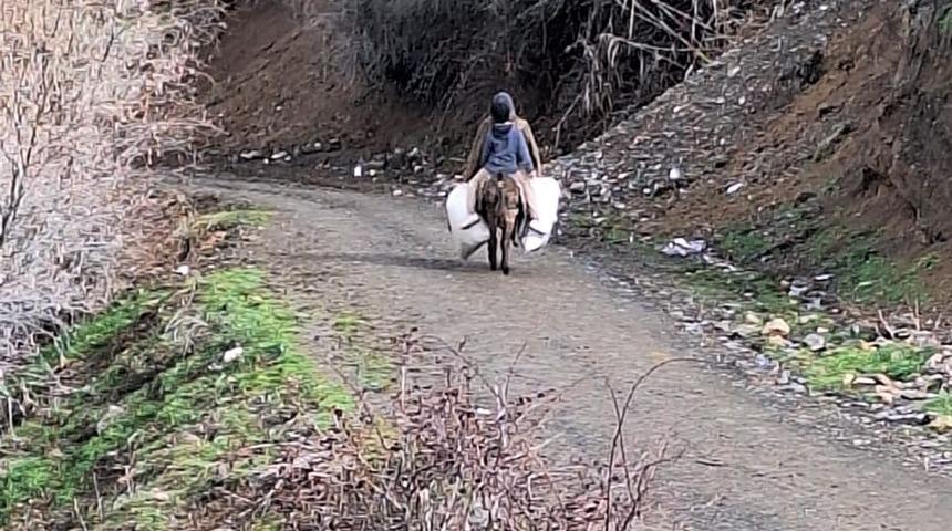 Elazığ’da selde çöken yolu kullanamayan köylüler hayvanlarına eşekler ile yem taşıyor