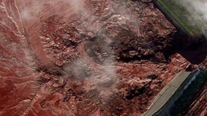 Karadeniz 'kızıl &ccedil;amur' tehdidi altında