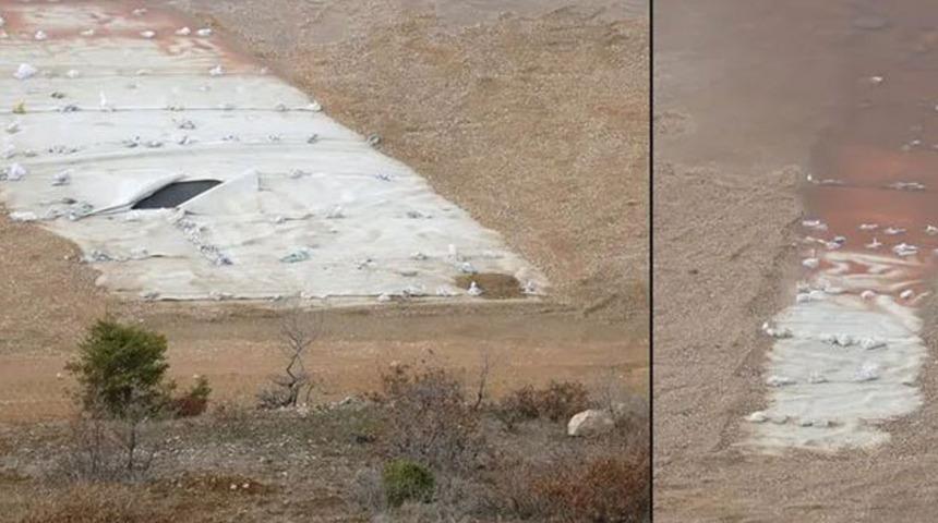 'Erzincan'da kuşlar siyanürden öldü' iddiası gündem oldu! Gerçek bambaşka çıktı