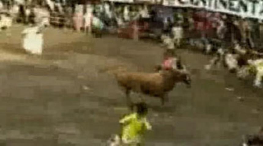 Vahşi g&ouml;steri 3 can aldı!