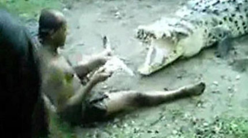 Timsahın en yakın arkadaşı oldu