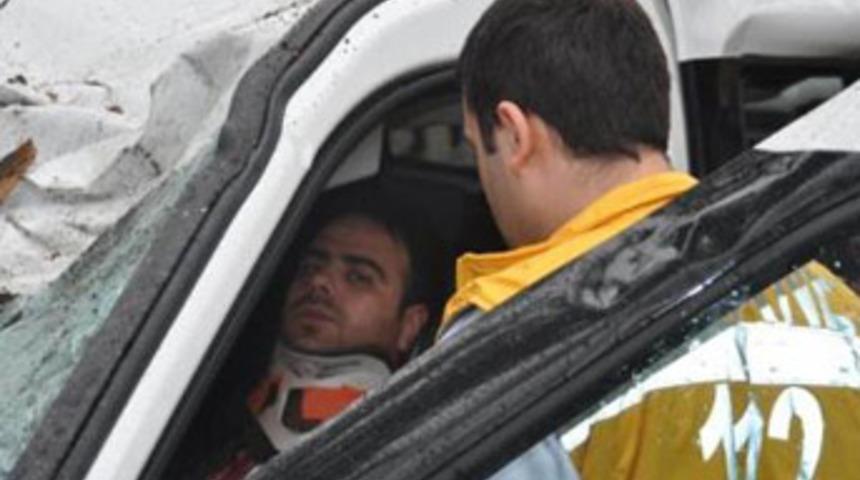 Ağa&ccedil;, yoldan ge&ccedil;en aracın &uuml;zerine devrildi