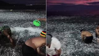 Filipinler'de milyonlarca sardalya kıyıya vurdu! Kovasını alan koşup geldi... 'Kıyamet alameti'