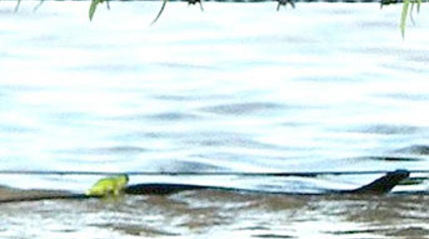 G&ouml;zlerinize inanamayacaksınız!