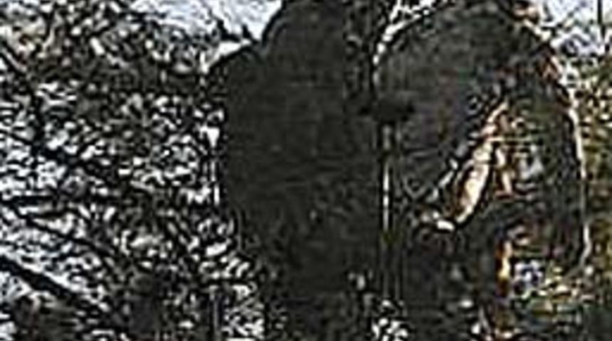 Ağacın &uuml;zerinde &ouml;ld&uuml;