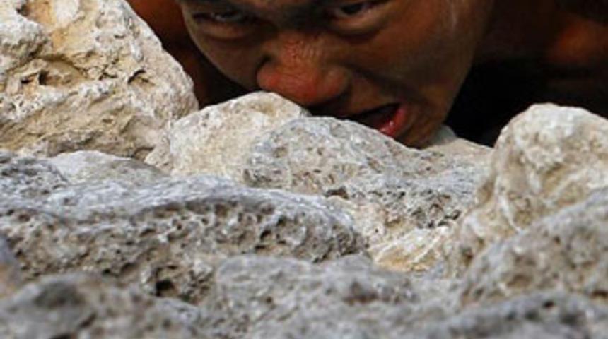 Pes dedirten kareler