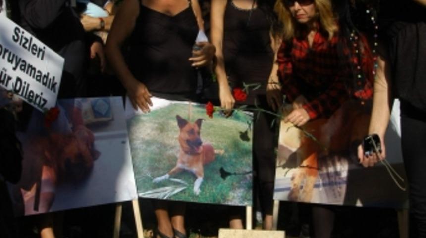 Zehirlenen k&ouml;peklere &ccedil;elenkli protesto