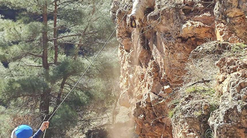 Uşak'ta kayalıklarda mahsur kalan 8 keçi kurtarıldı