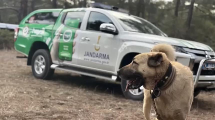 Burdur'da köpek dövüştüren 22 kişiye, 142 bin 868 lira idari para cezası verildi