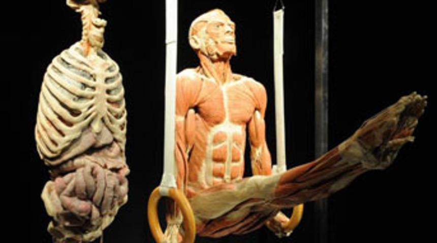 Ger&ccedil;ek insan bedenleri sergide