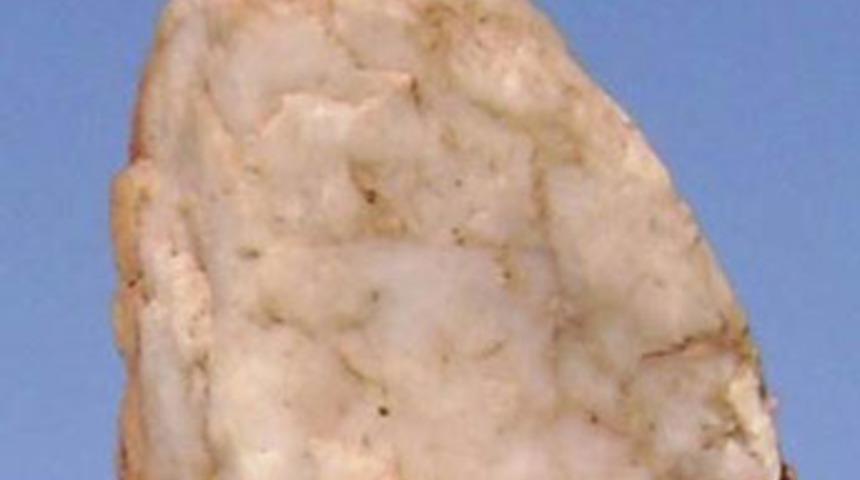 Tarihi değiştirecek keşif!