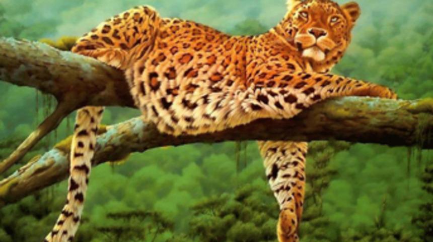 Leoparların neden benekleri var?