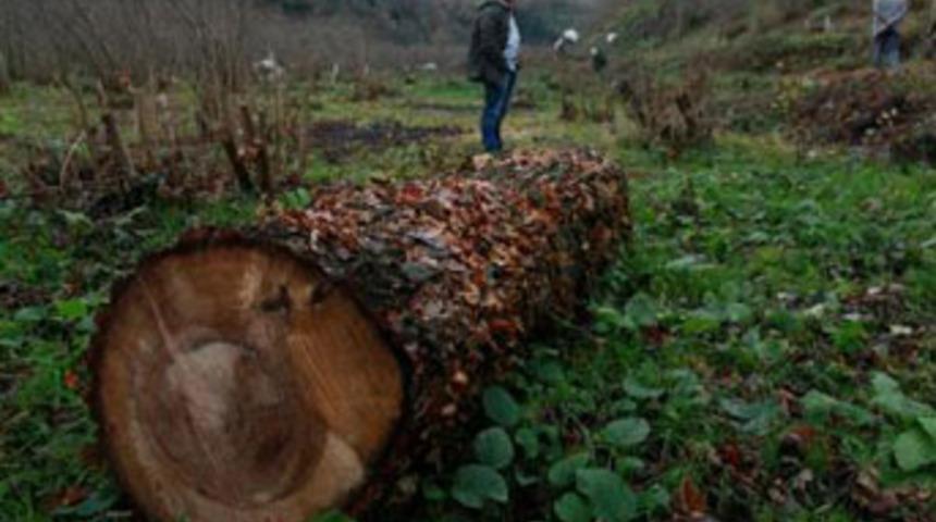 &Ouml;nce kestiler, sonra vazge&ccedil;tiler