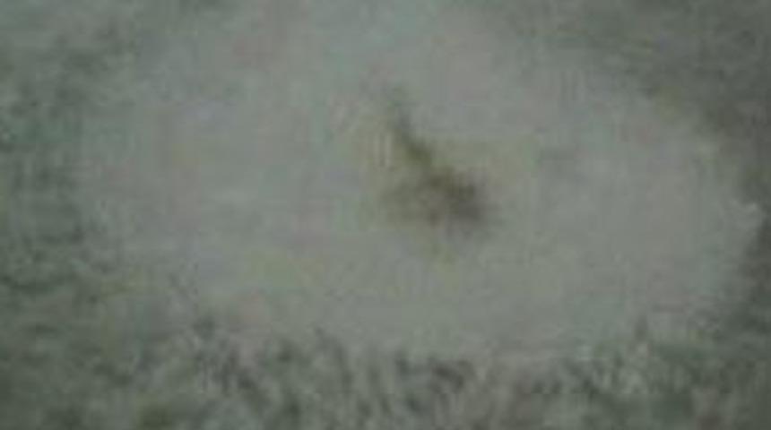 &Ouml;l&uuml;m&uuml;n g&ouml;r&uuml;nt&uuml;s&uuml;n&uuml; bir balık&ccedil;ı &ccedil;ekti