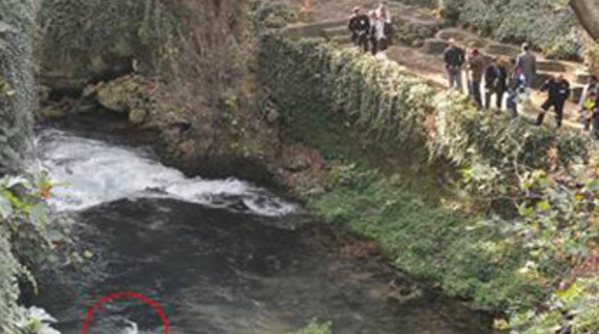 D&uuml;den'de esrarengiz ceset