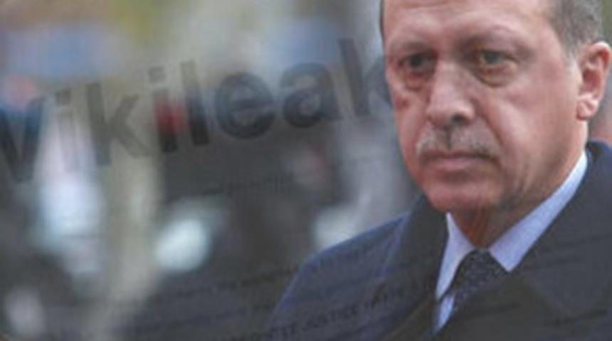 Erdoğan: Mükemmeliyetçi fakat despotik değil