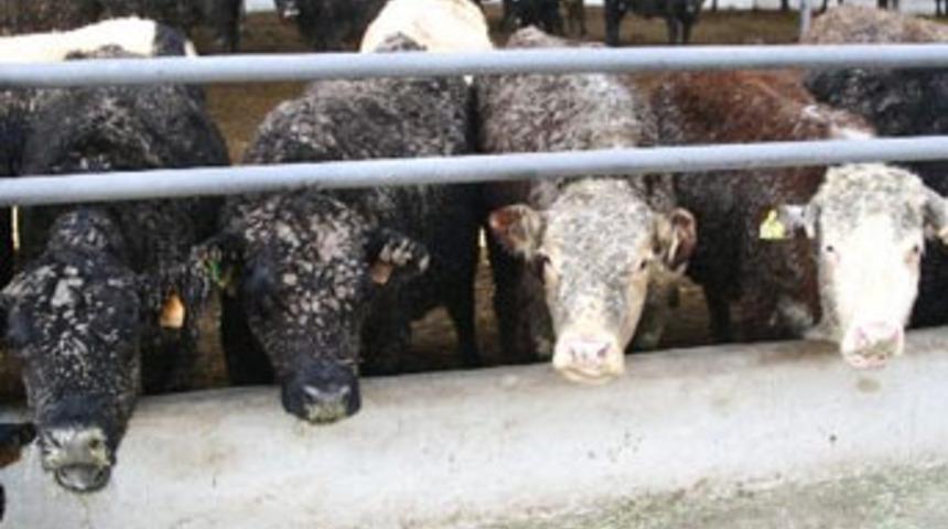 Tarım Bakanlığı'ndan şok a&ccedil;ıklama!